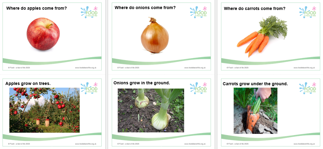 WHERE FOOD COMES FROM