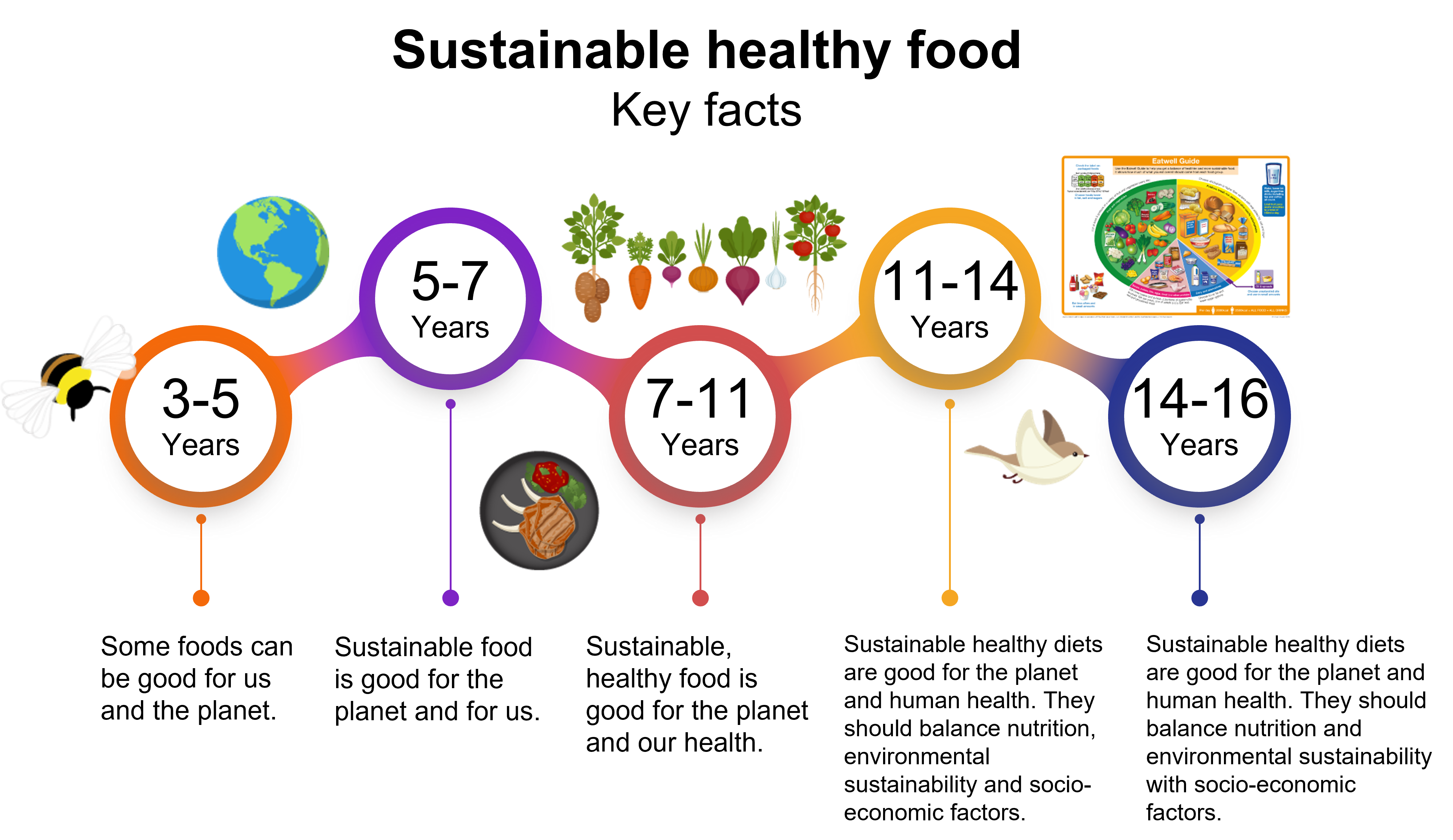 An image featuring the key facts around sustainable healthy food